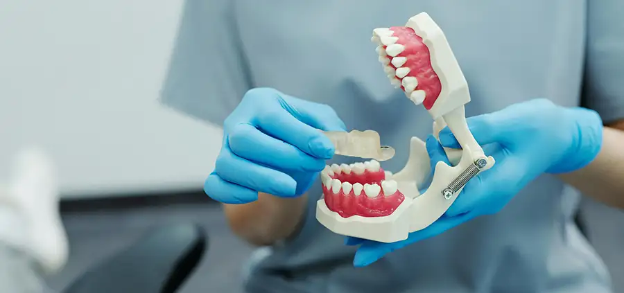 dentition